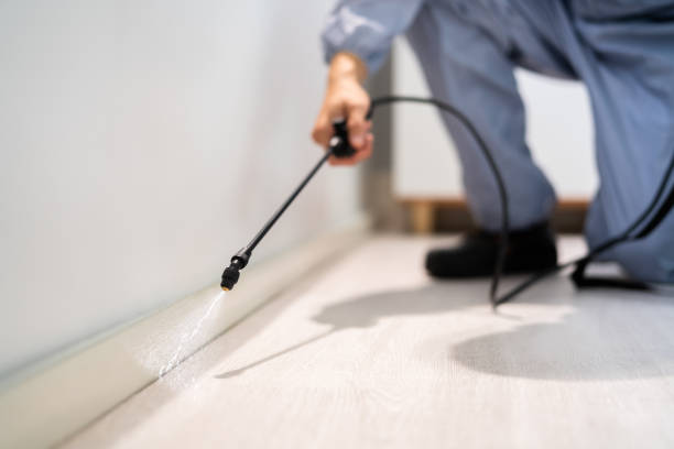 Licensed Pest Control service in Pottsville, PA - Show Me Pest Control