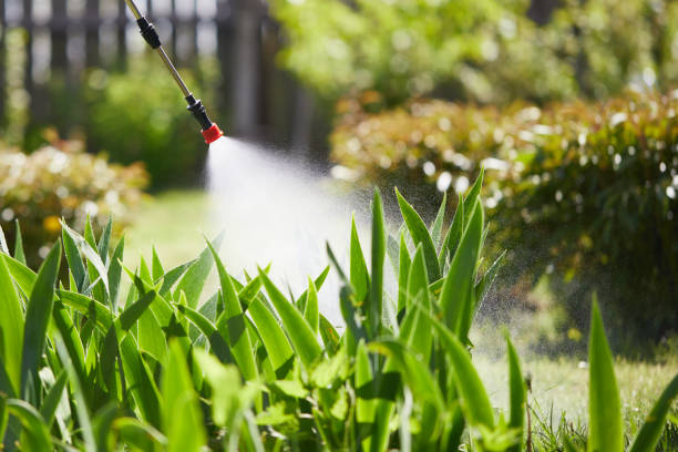 24/7 Emergency Mosquito Control experts in Pottsville, PA